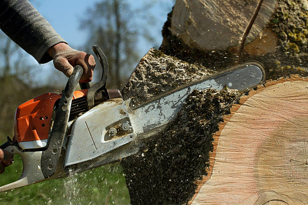 Soil Testing and Treatment in Clay, CA